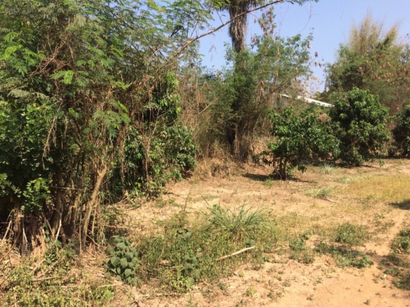 Land For Sale 2 Rai Namprae Hangdong Chiangmai-I-3096