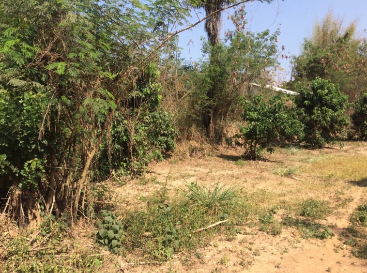 Land For Sale 2 Rai Namprae Hangdong Chiangmai-I-3096