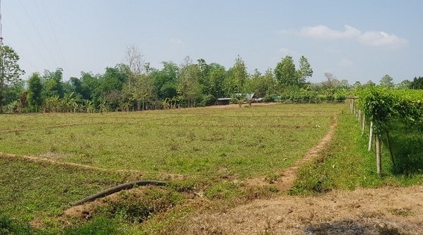 Land For Sale 5 Rai Mae On San Kamphaeng Chiang Mai-I-3151