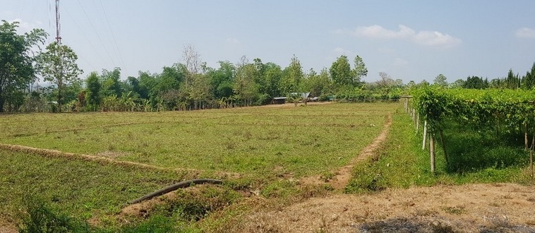 Land For Sale 5 Rai Mae On San Kamphaeng Chiang Mai-I-3151