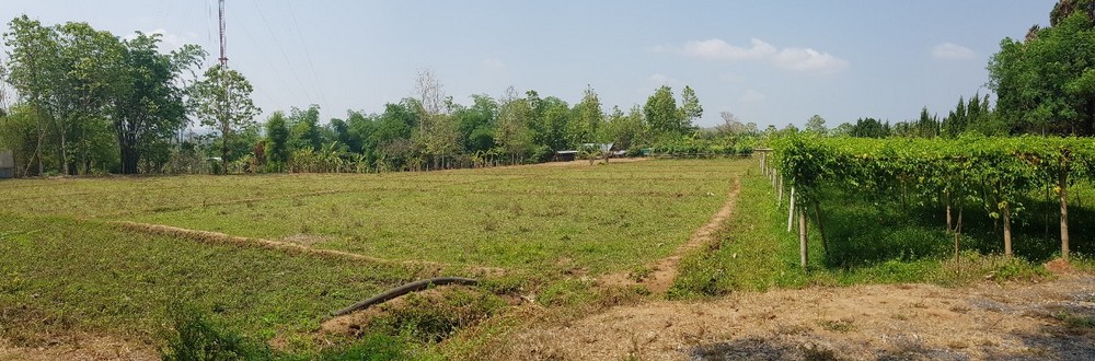 Land For Sale 5 Rai Mae On San Kamphaeng Chiang Mai-I-3151