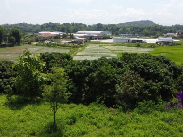 Beautiful sloping plot of land 4 rai 1 ngan 91 wah with amazing view of ricefield and mountains for sale amongst nature in Saluang