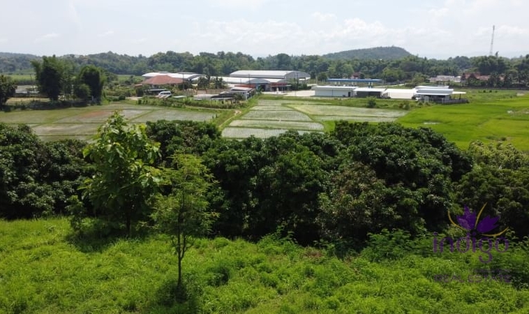 Beautiful sloping plot of land 4 rai 1 ngan 91 wah with amazing view of ricefield and mountains for sale amongst nature in Saluang