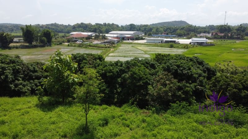 Beautiful sloping plot of land 4 rai 1 ngan 91 wah with amazing view of ricefield and mountains for sale amongst nature in Saluang