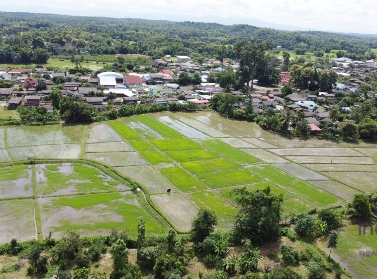 Land for sale 5 Rai 3 Ngan 92 Sqw