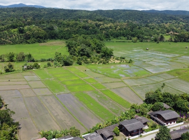 Chiang Mai-I-4065