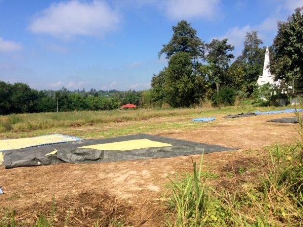 Large Plot of Land Nearly 6 Rai For Sale in Sansai Chiang Mai-I-2526