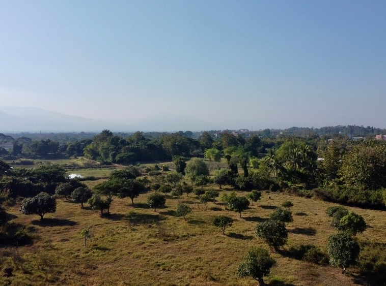 Land For Sale 16rai 2 Ngan 65 wah near Mae Jo University Sansai Chaing Mai-I-3459