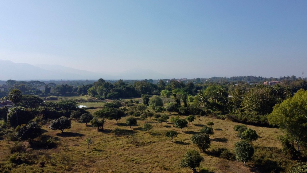 Land For Sale 16rai 2 Ngan 65 wah near Mae Jo University Sansai Chaing Mai-I-3459