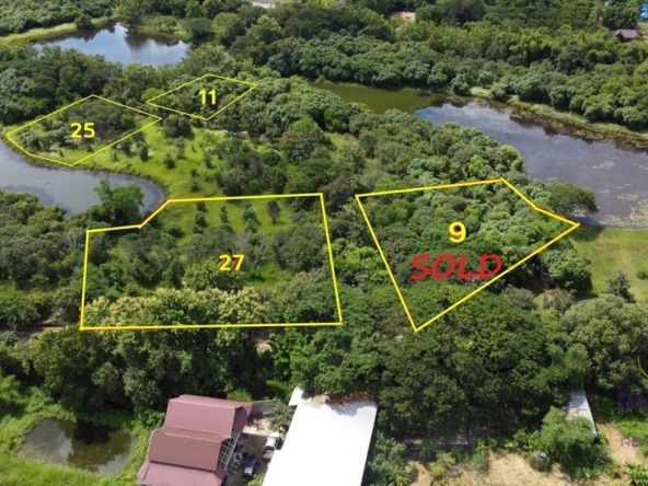 Nature in the city! Waterfront land for sale near Mae Jo University