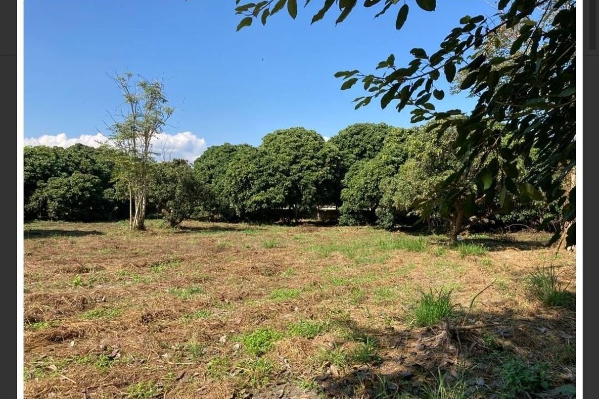 7 Rai Beautiful Land For Sale In Nam Phrae-SM-sta-jh-03