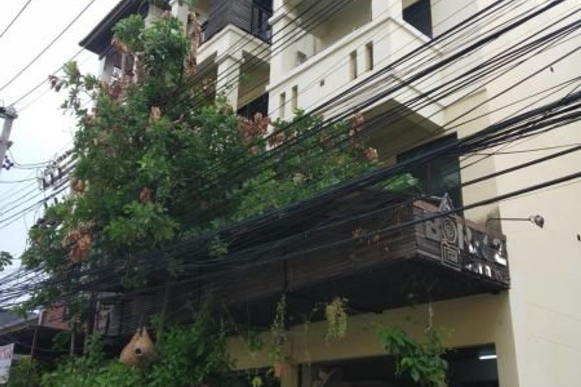 4 storey commercial building for sale in Muang Chiang Mai-P-PCCS479