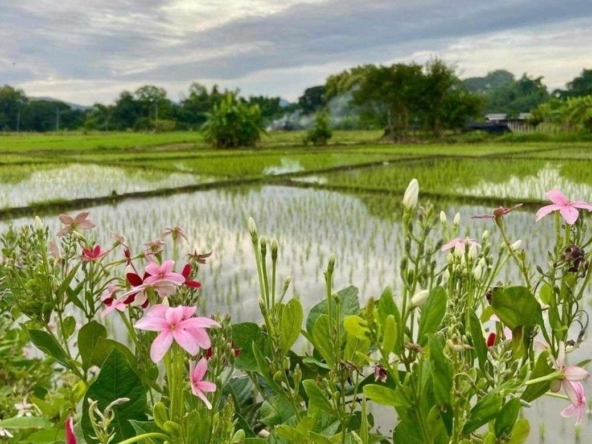 For sale: Luxury resort amidst nature