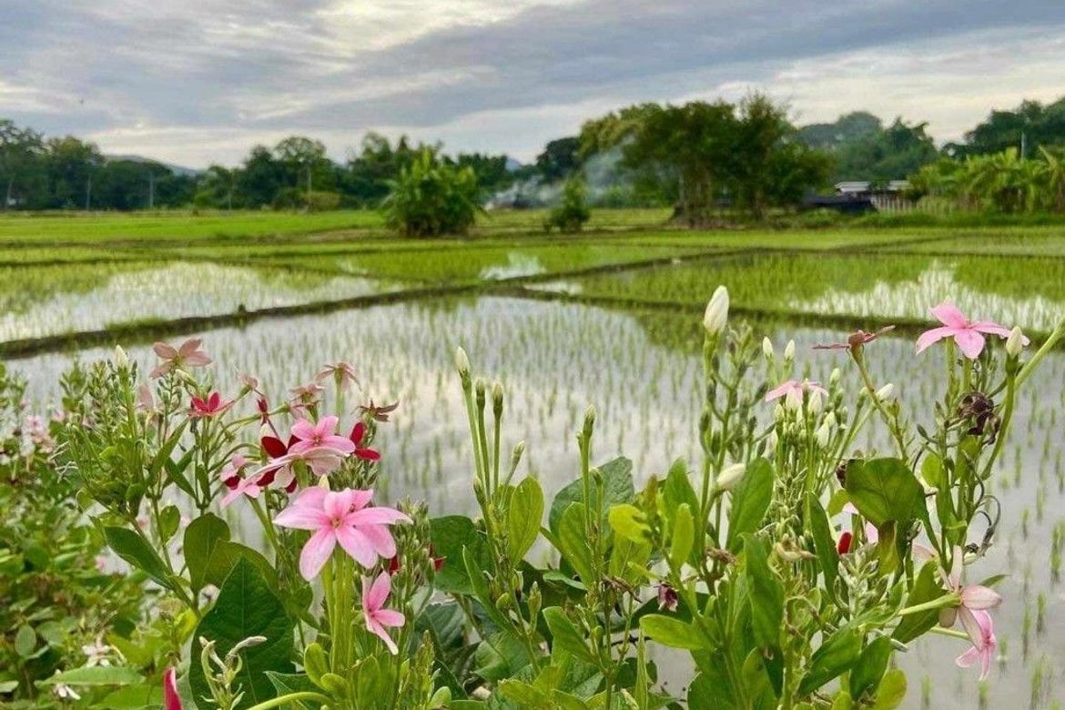 For sale: Luxury resort amidst nature