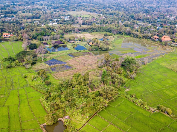 Chiang Mai