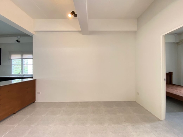 Brand new 4 bed house for rent in Hang Dong