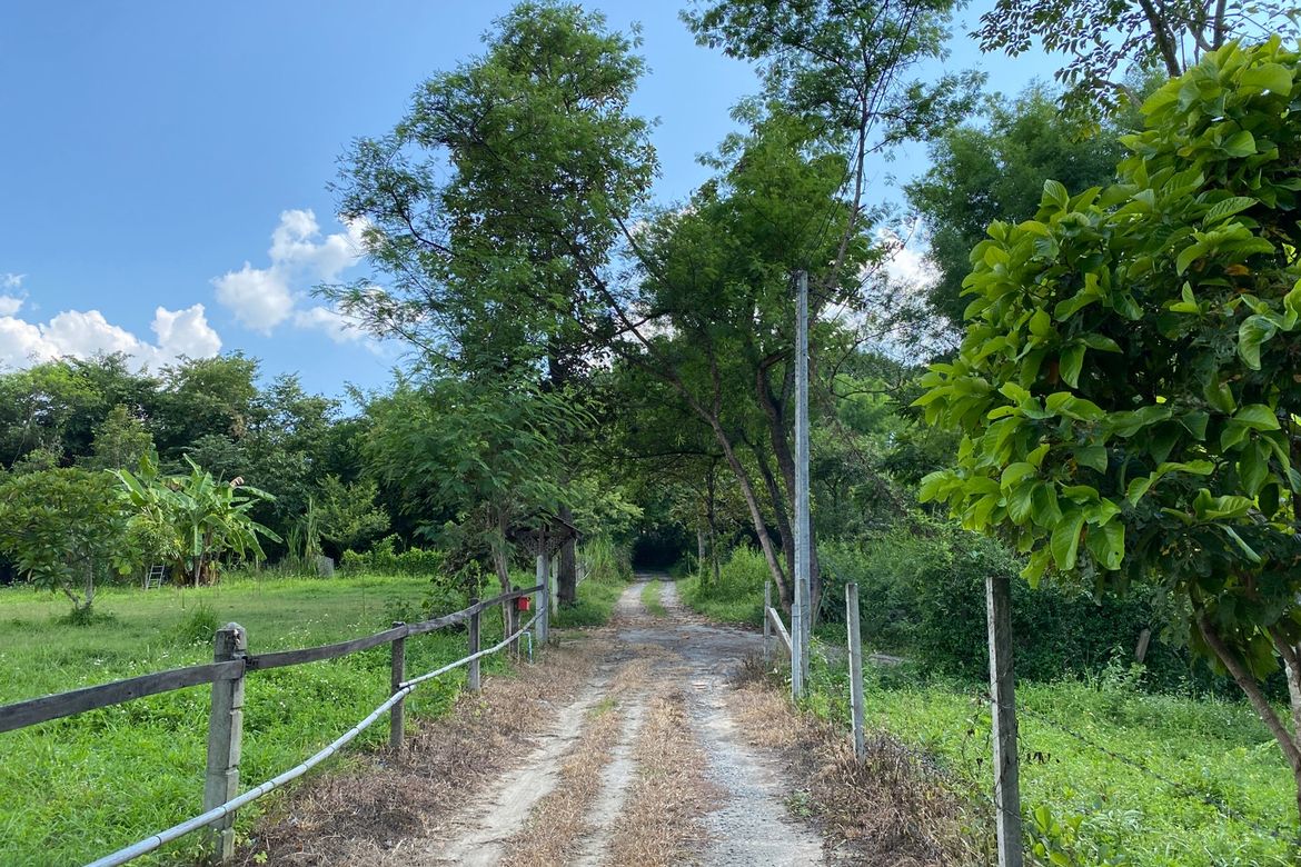 A beautiful home in the nature for rent in Mae Rim