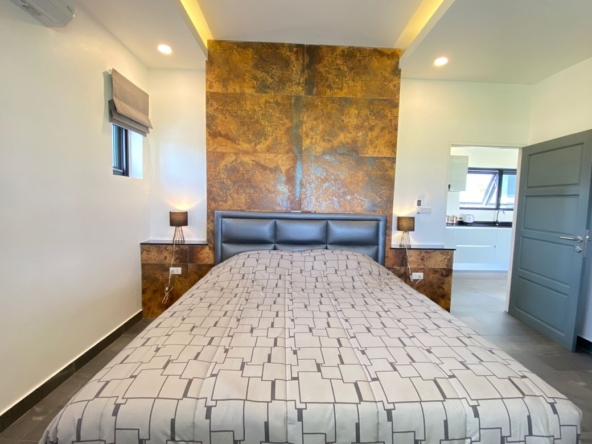 A modern 4 bed house for sale in Doi Saket-P-PHS879