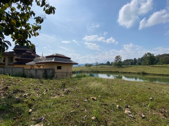 A modern Thai Lanna house for sale in Mae Tang