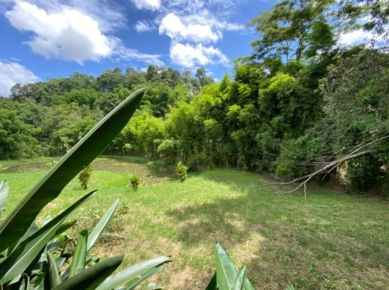 Unique Moutain villa 5 bed for sale in Mae Rim Chiang Mai-P-PHS596