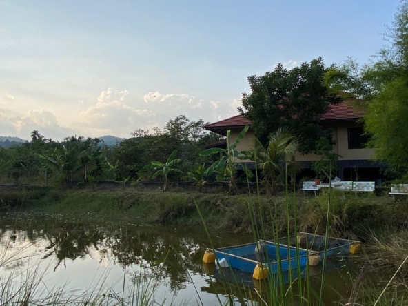 4 bed house for sale in Mae Rim