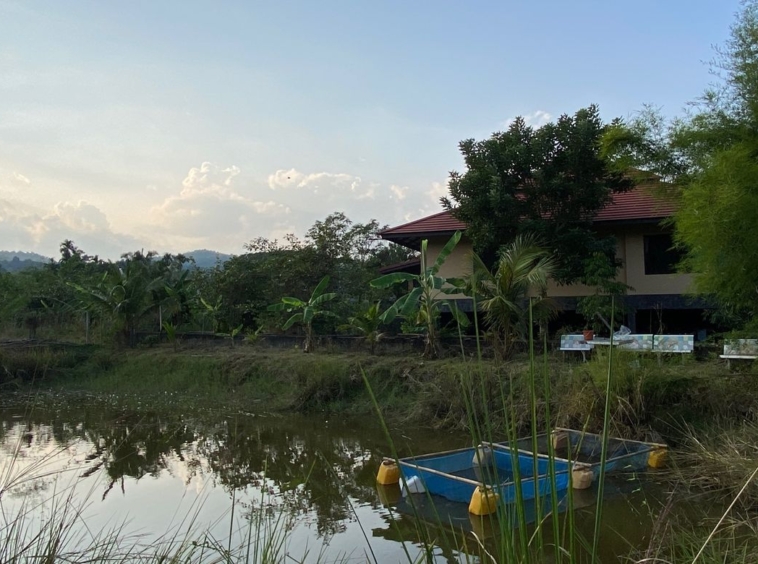 4 bed house for sale in Mae Rim