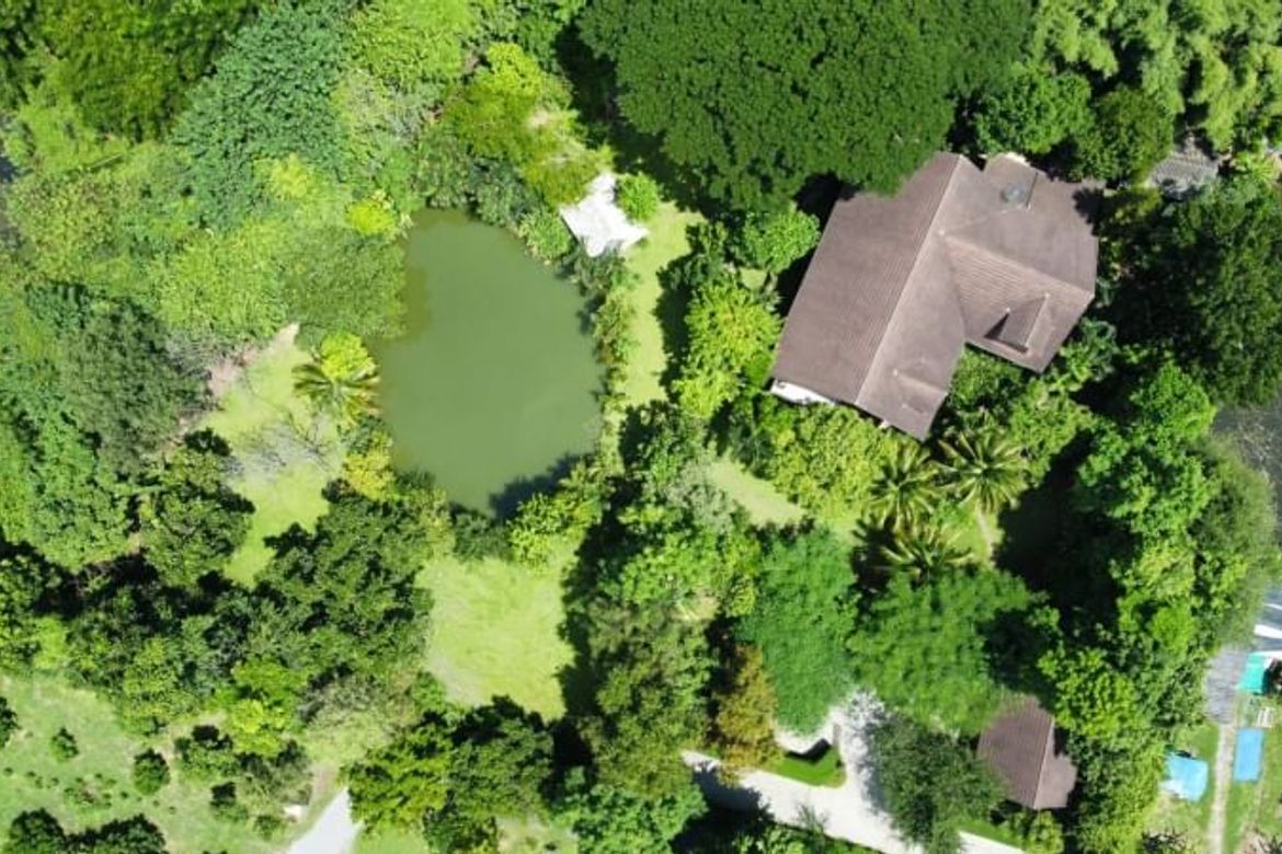 Contemporary Thai-English Country Home Style for Sale on a Private Area of over 2 rai of land plot at San Kamphaeng district