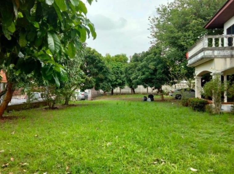 2 storey detached house for sale. Beautiful and shady house. The land is wide and has a lawn in front of the house.-J-KK002