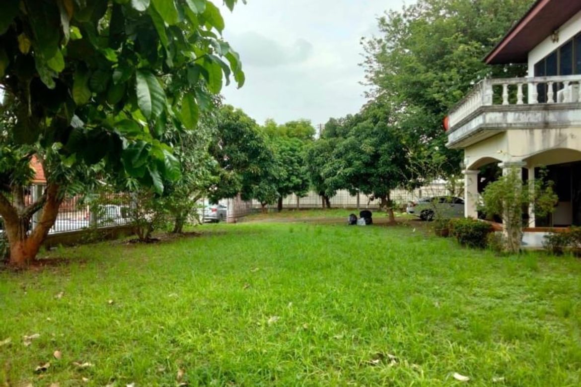 2 storey detached house for sale. Beautiful and shady house. The land is wide and has a lawn in front of the house.-J-KK002