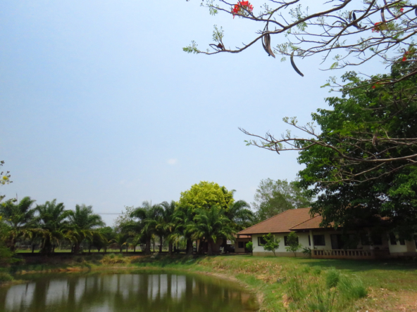 3 bedroom lake front house in Doi Saket for sale-SHG-HS412