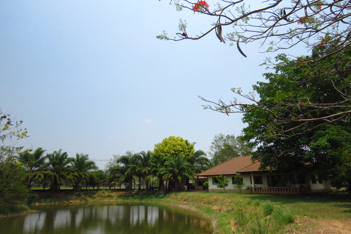 3 bedroom lake front house in Doi Saket for sale-SHG-HS412