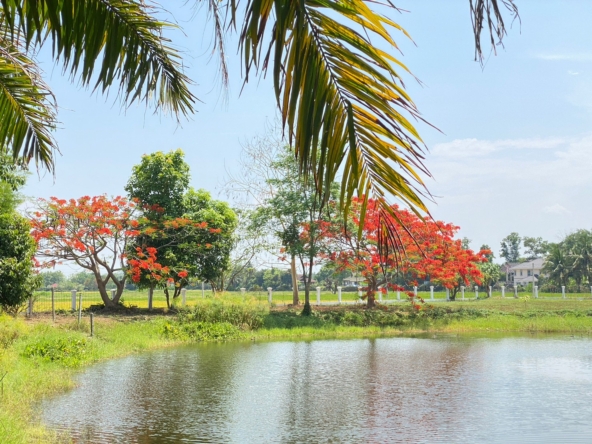 3 bedroom lake front house in Doi Saket for sale-SHG-HS412