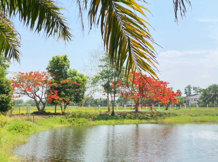 3 bedroom lake front house in Doi Saket for sale-SHG-HS412