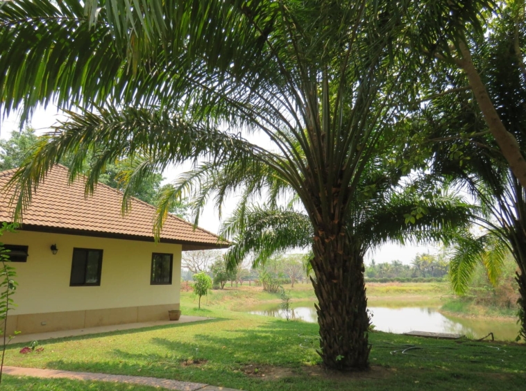 3 bedroom lake front house in Doi Saket for sale-SHG-HS412