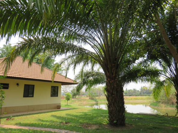 3 bedroom lake front house in Doi Saket for sale-SHG-HS412