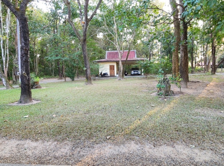 Thai style house in 25 Rai of land for sale in Doi Saket-SHG-HS459