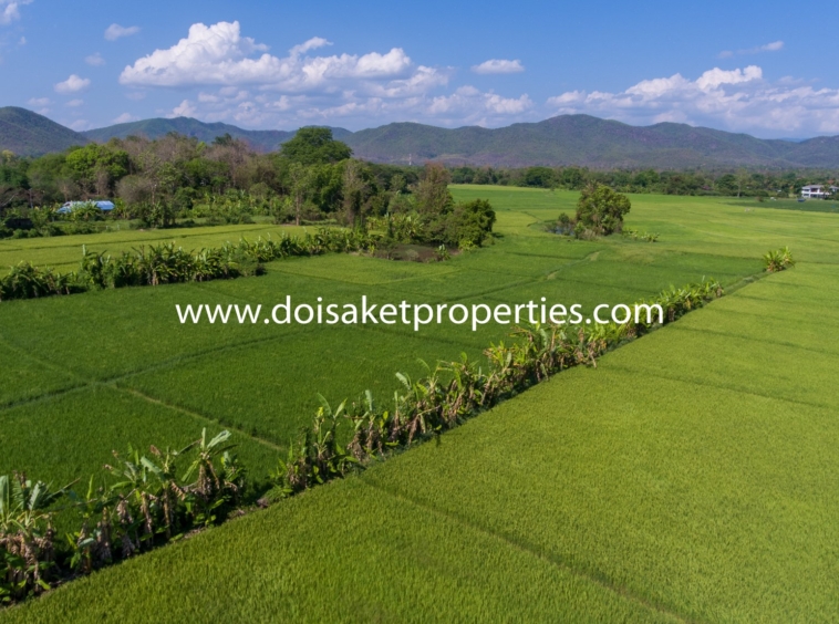 Doi Saket-DSP-(LS347-07) 7.5+ Rai of Land with Great Views in Luang Nuea