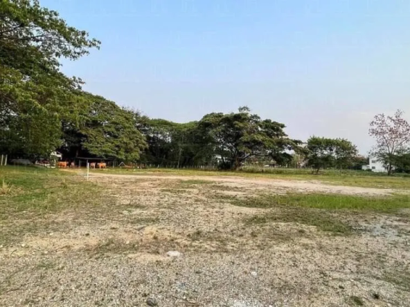 11-0-70 Rai Land for Sale in Chiang Mai - Prime Opportunity-CMP-144