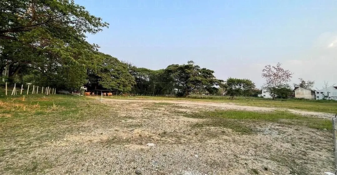 11-0-70 Rai Land for Sale in Chiang Mai - Prime Opportunity-CMP-144