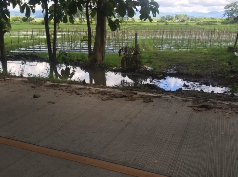 Land for Sale in Chiang Mai | 25 Rai with Excellent Accessibility.-CMP-227