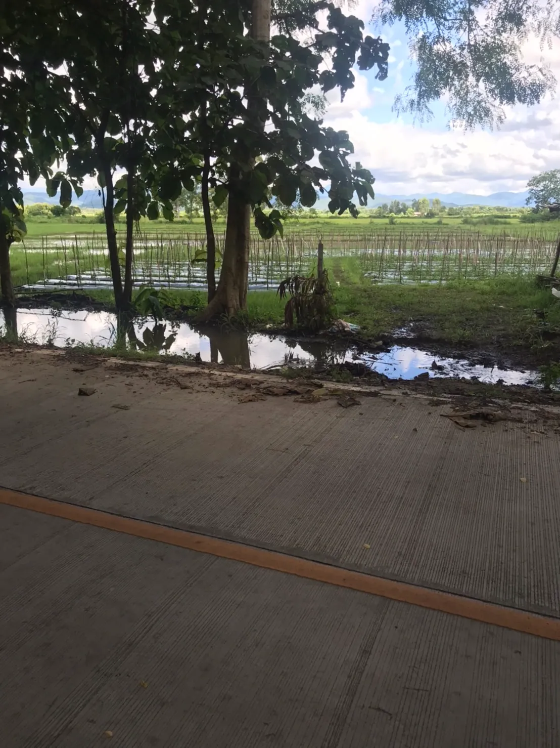 Land for Sale in Chiang Mai | 25 Rai with Excellent Accessibility.-CMP-227