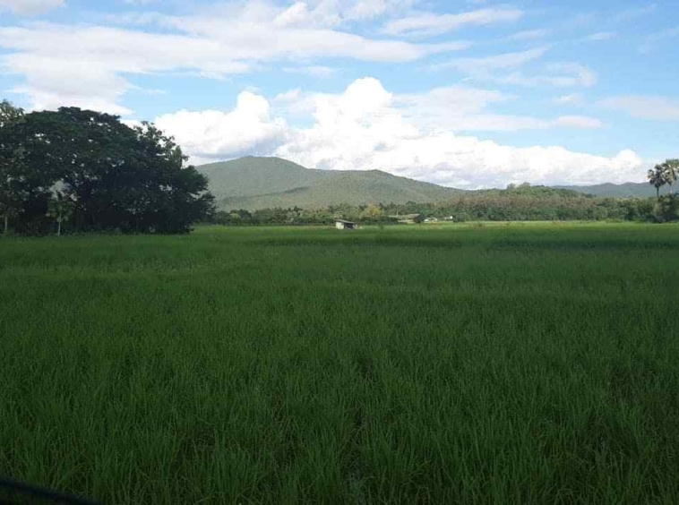 Land for Sale Chiang Mai - 16 Rai