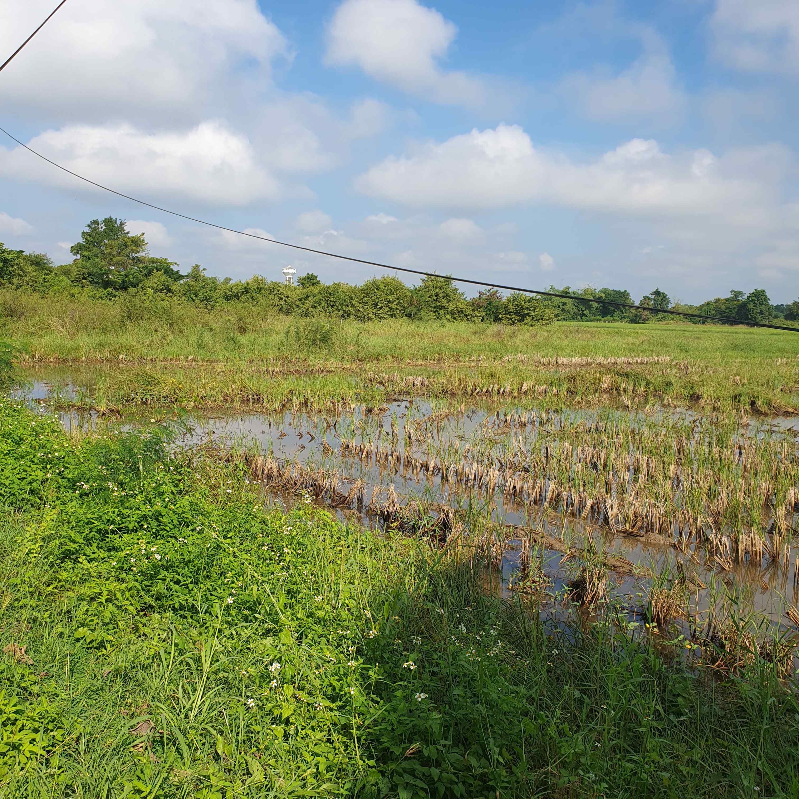 10 Rai Land for Sale in Chiang Mai | Excellent Investment Opportunity-CMP-236