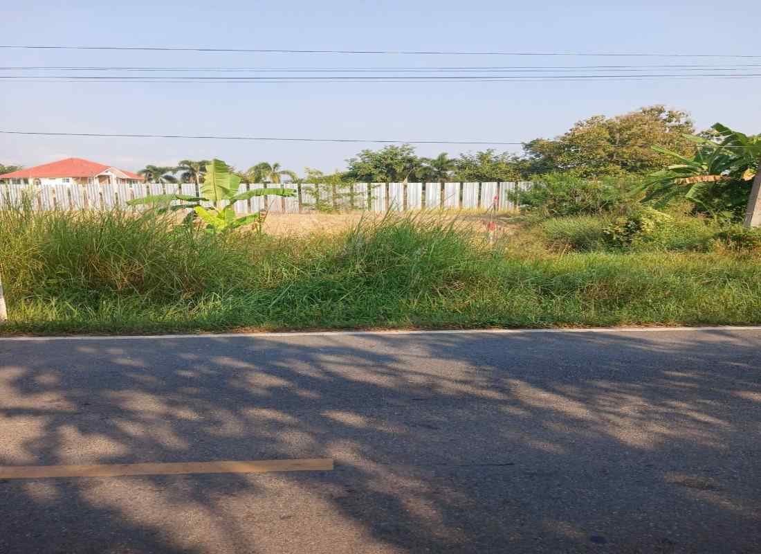 Follow Your Dream with a plot of Land for Sale in Chiang Mai |2521 Wah-CMP-265