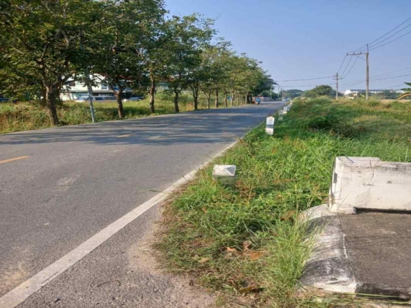 Follow Your Dream with a plot of Land for Sale in Chiang Mai |2521 Wah-CMP-265