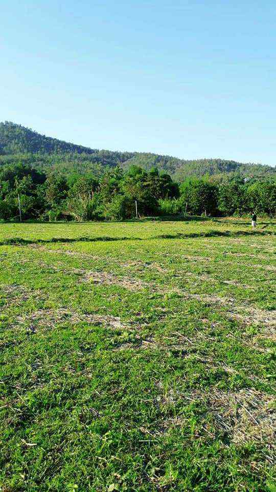 Land for Sale in Chiang Mai - 5 Rai Plot Near Mae Klang Water 10M THB-CMP-273