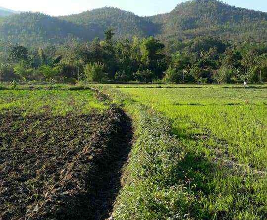 Land for Sale in Chiang Mai - 5 Rai Plot Near Mae Klang Water 10M THB-CMP-273