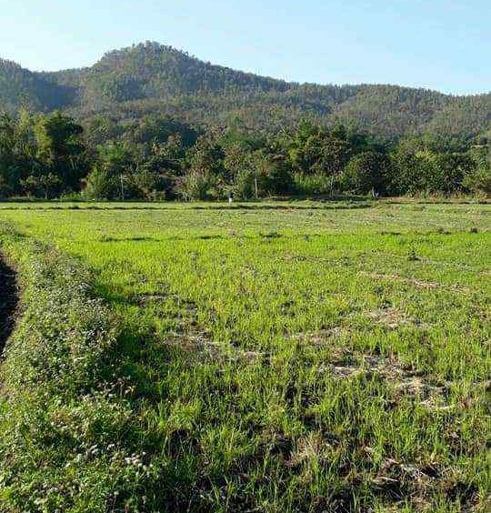 Land for Sale in Chiang Mai - 5 Rai Plot Near Mae Klang Water 10M THB-CMP-273