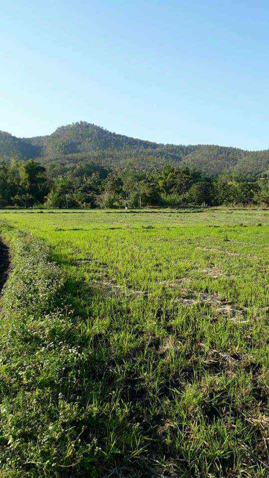 Land for Sale in Chiang Mai - 5 Rai Plot Near Mae Klang Water 10M THB-CMP-273