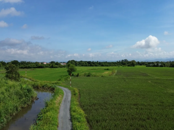 114 Rai Prime Land for Sale in San Kamphaeng